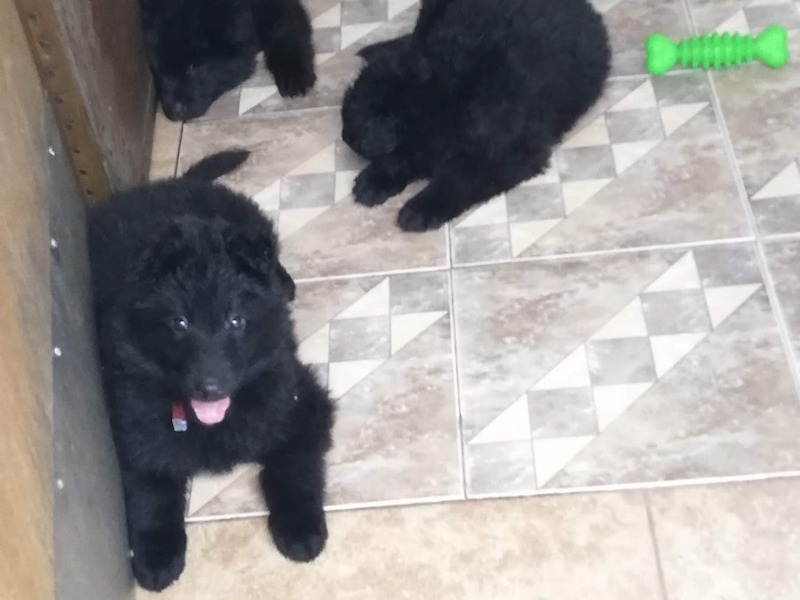 D_NQ_NP_2X_828270-MLC53736227323_022023-F-2