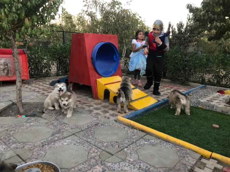 WhatsApp-Image-2021-04-25-at-18.15.58-2