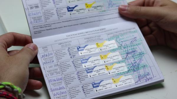 todas_las_vacunas_para_perros_deben_ser_aplicadas_anualmente_23978_2_600-2