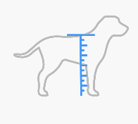 Captura-de-Pantalla-2022-02-07-a-las-09.56.41