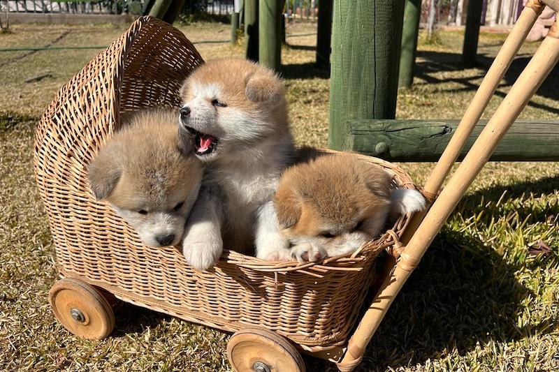 WhatsApp-Image-2022-10-25-at-10.50.08-PM