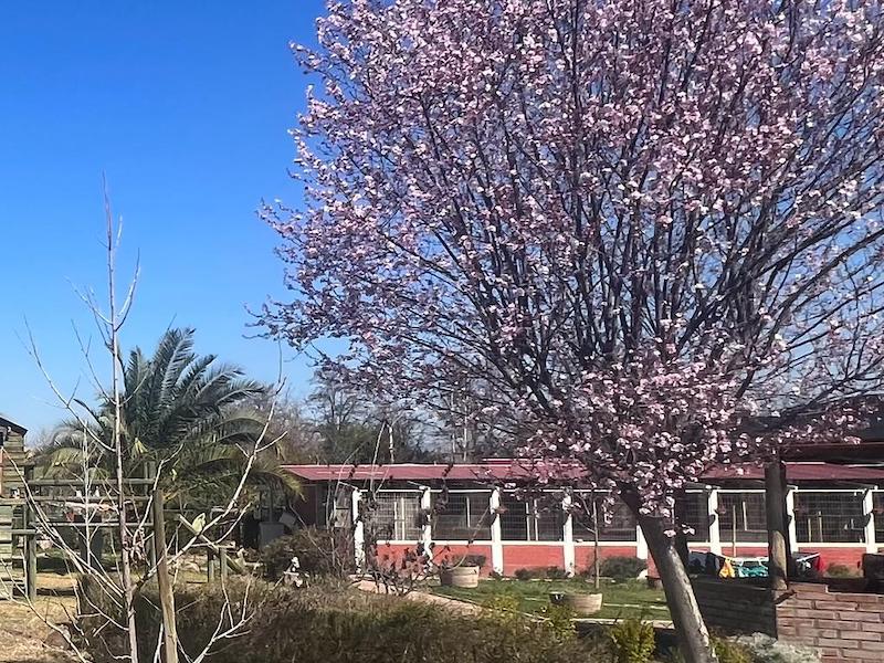 WhatsApp Image 2023-08-31 at 20.41.42