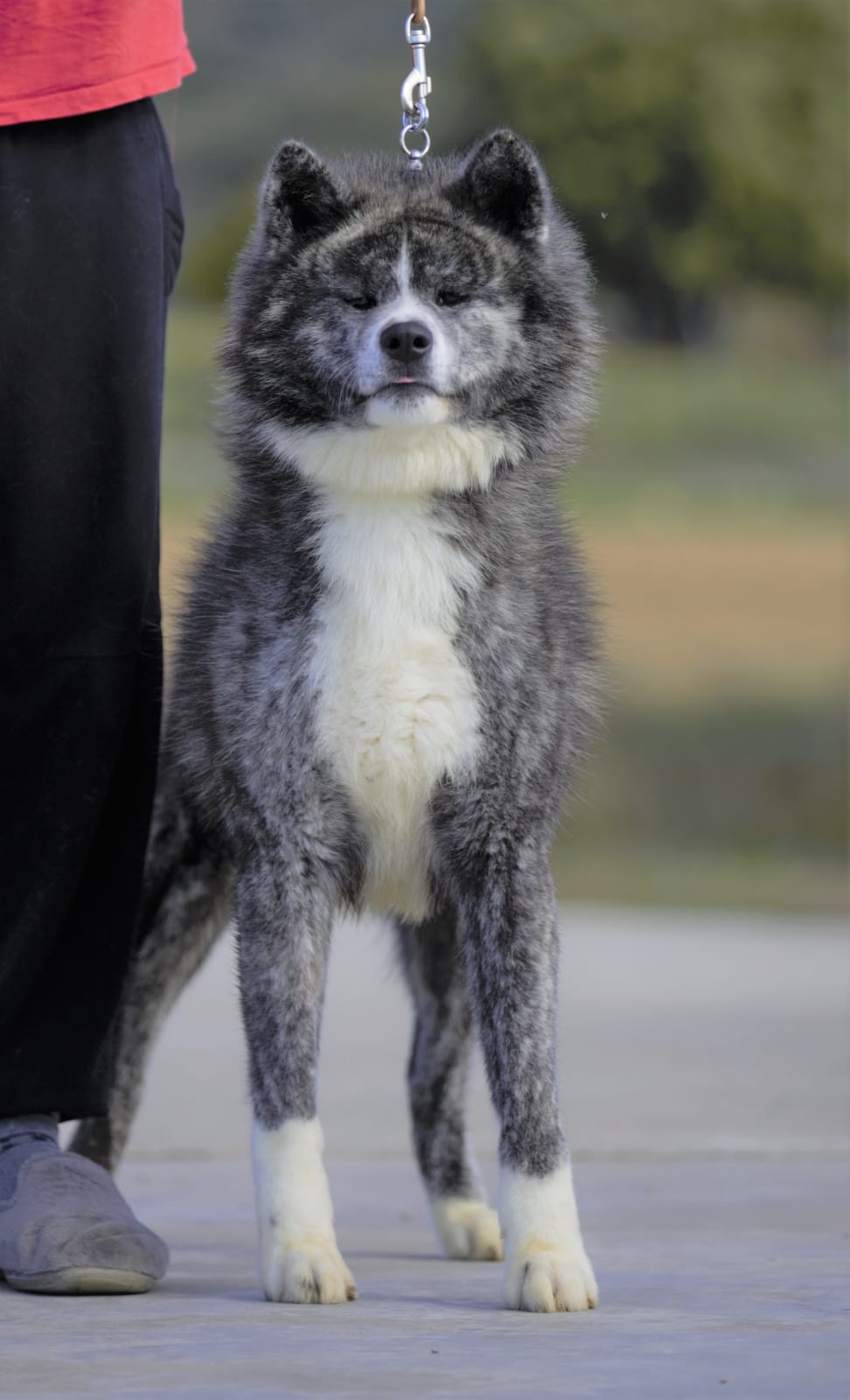 Tenzanryuu Go Murasakisou