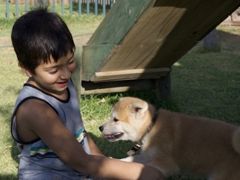 Akita y Rodrigo