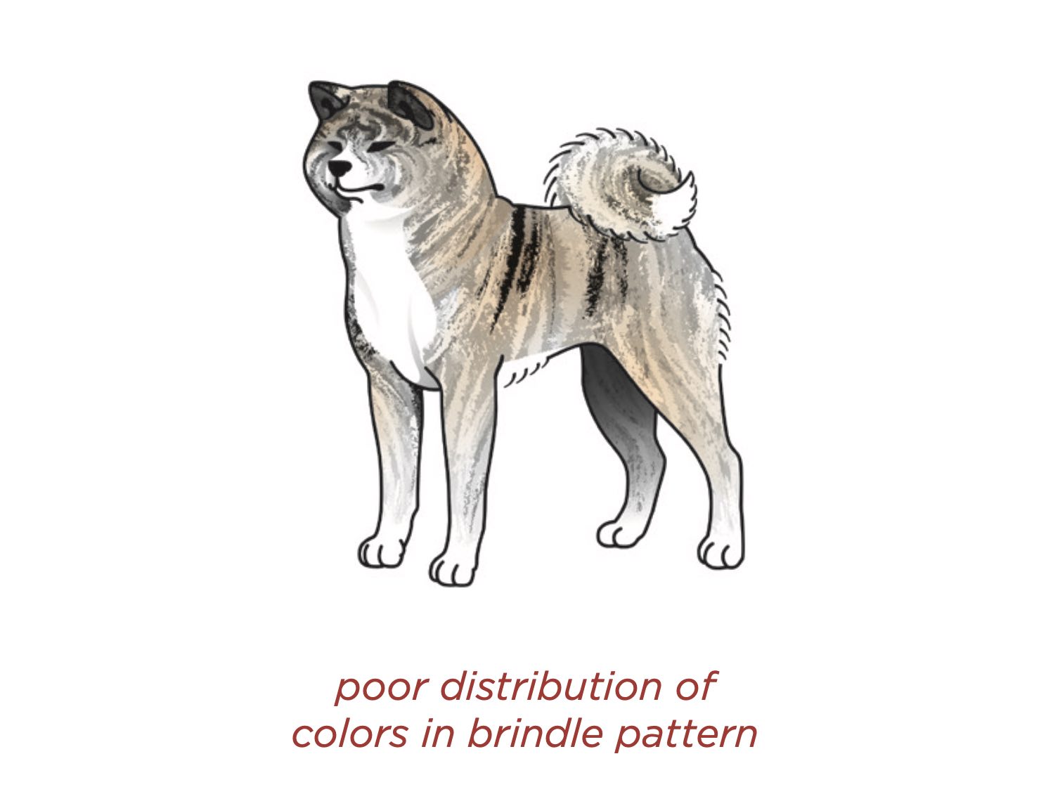 Atigrado descolorido