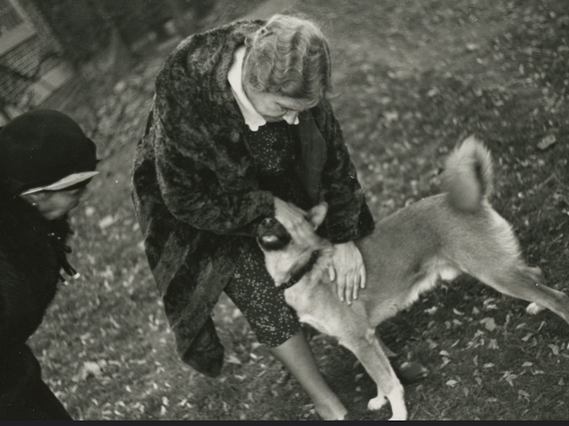 Captura de pantalla 2023-09-05 a la(s) 22.12.04