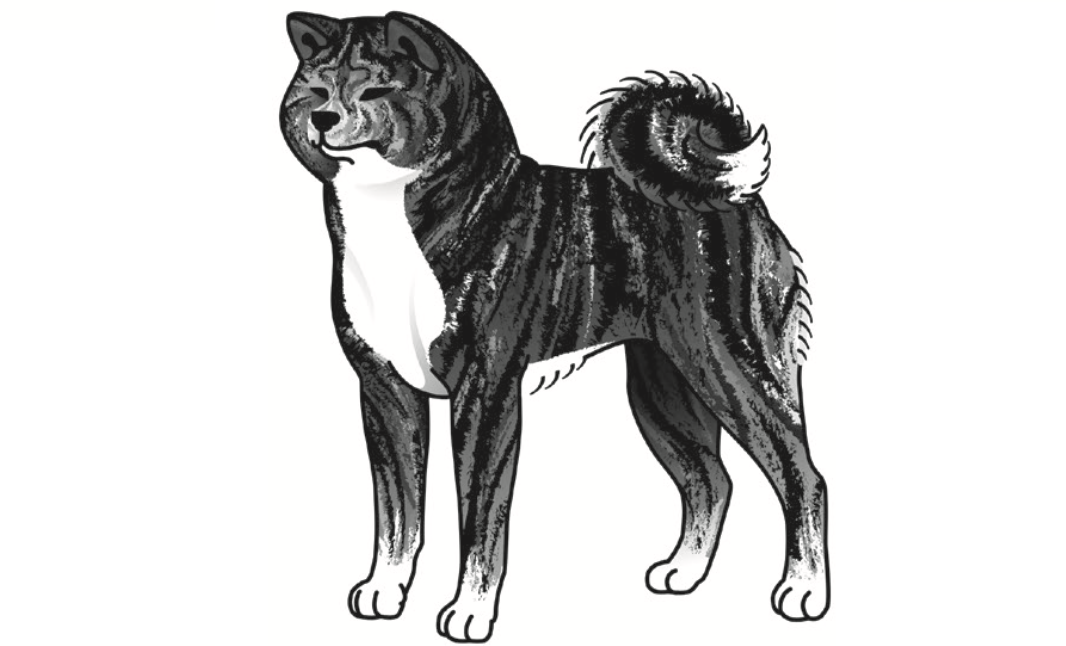 Captura de pantalla 2023-09-06 a la(s) 22.30.07