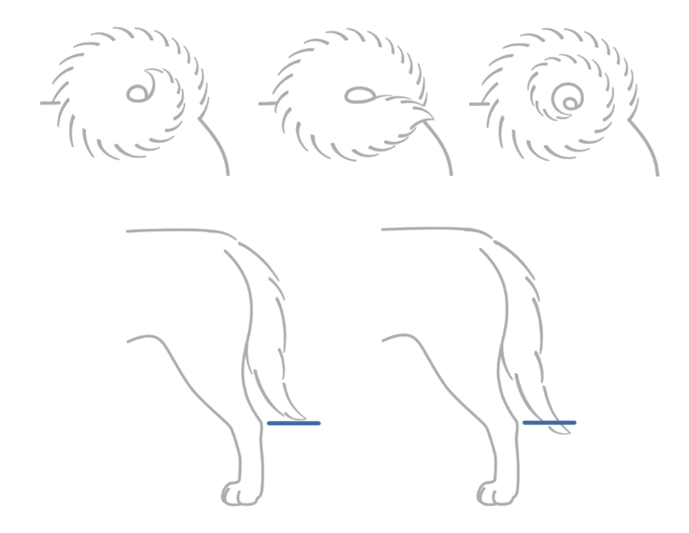 Captura de pantalla 2023-09-06 a la(s) 22.53.27