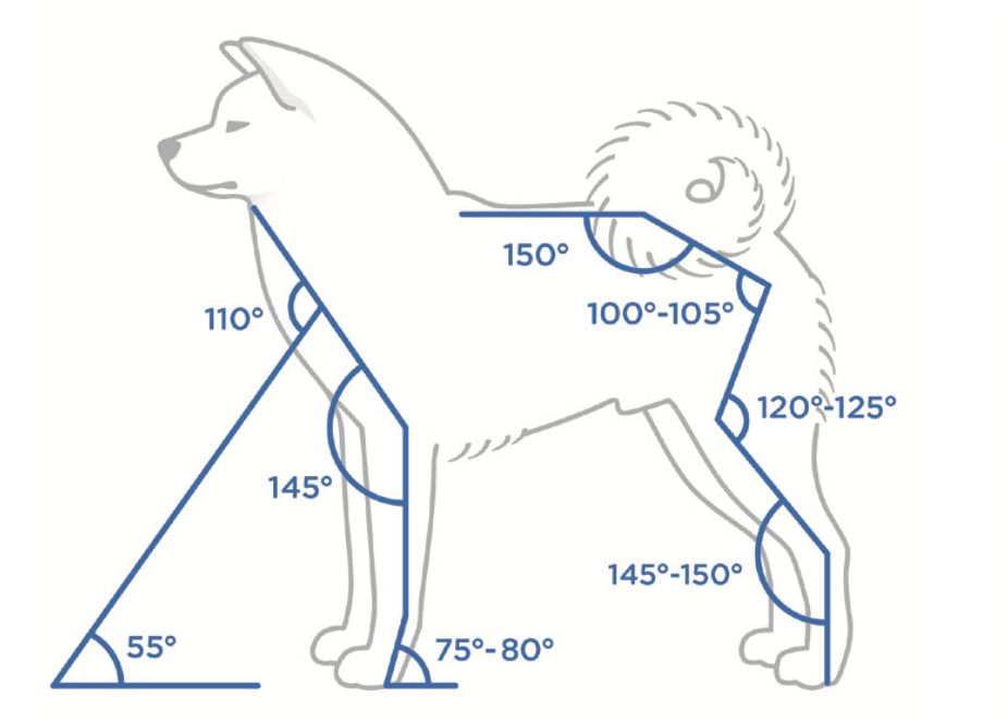 Moderada angulación