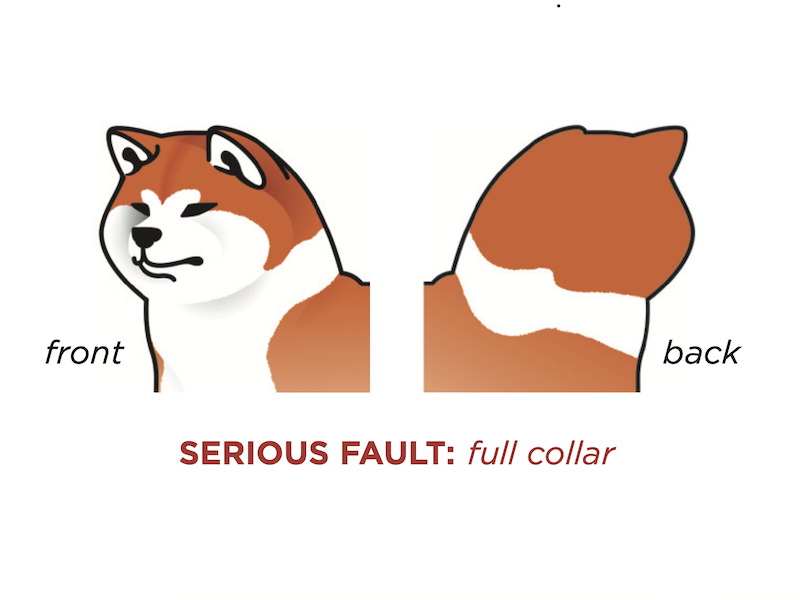 Captura de pantalla 2023-09-07 a la(s) 22.59.35