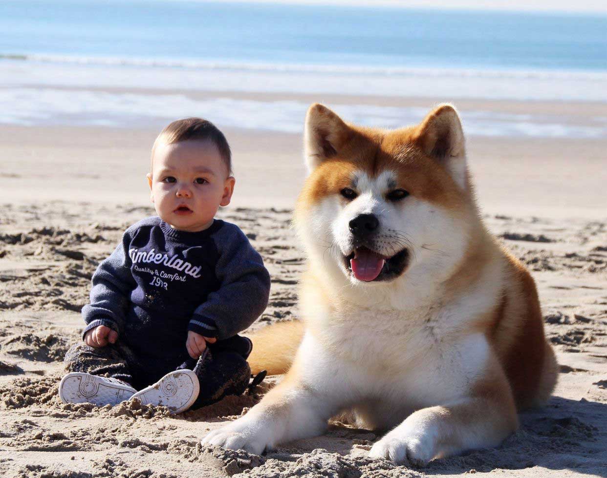 akita-izan-playa-kensha